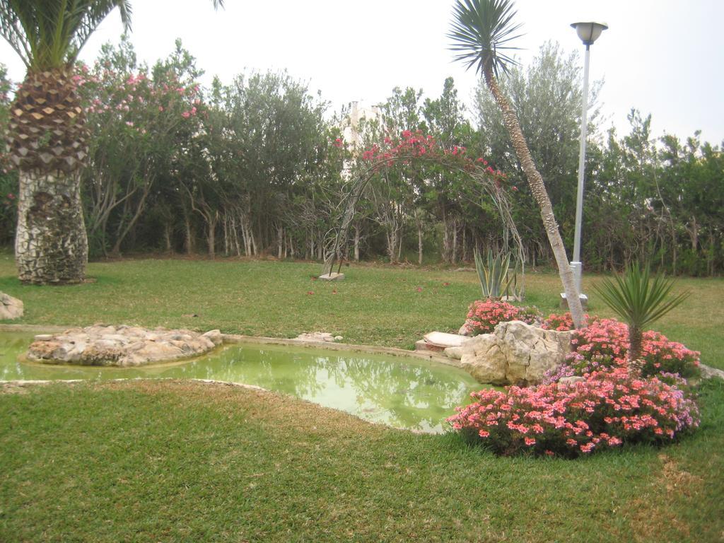 Roca